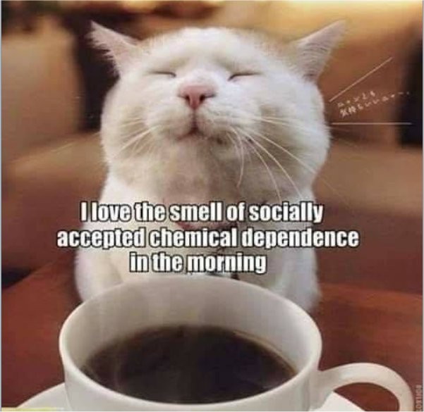 caturday chemicals majorgeeks.jpg